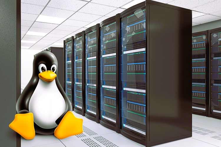 Linux Hosting